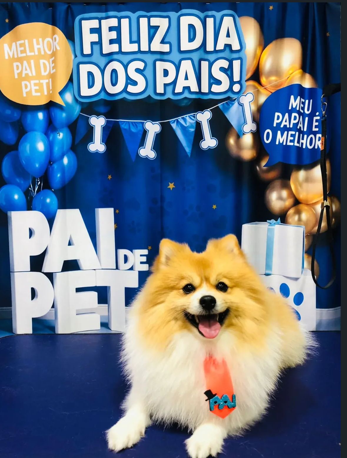 Foto de um pet cliente